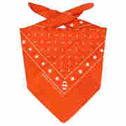 Bandana Tuch by Stetson orange