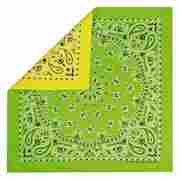 Reversible Bandana pastel green
