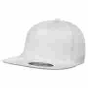 Flexfit Cap Pro Style wei�