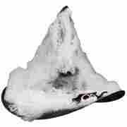 Cobwebbed Witch Hat black