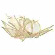 Kobys Fascinator by McBURN nature