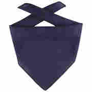 Kids Bandana Goal blue